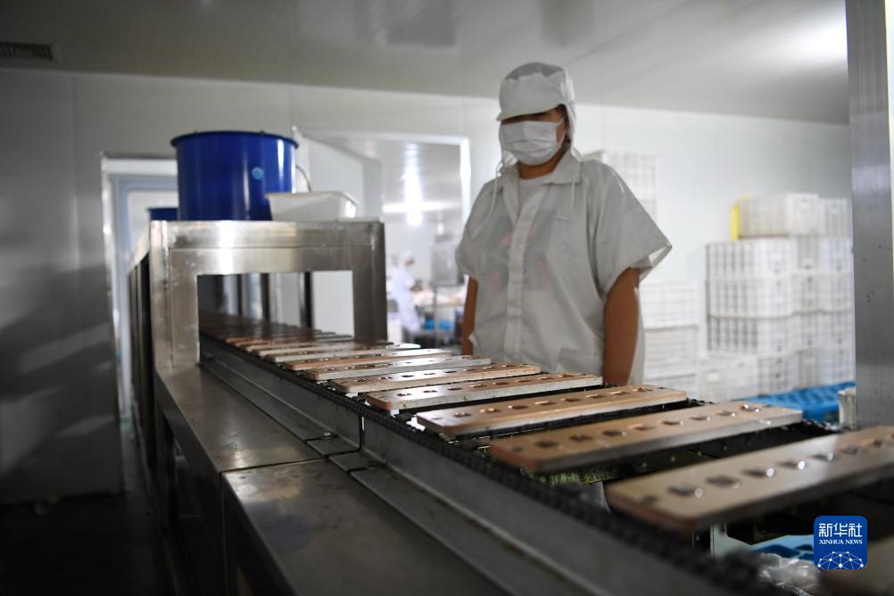 中国游戏中心